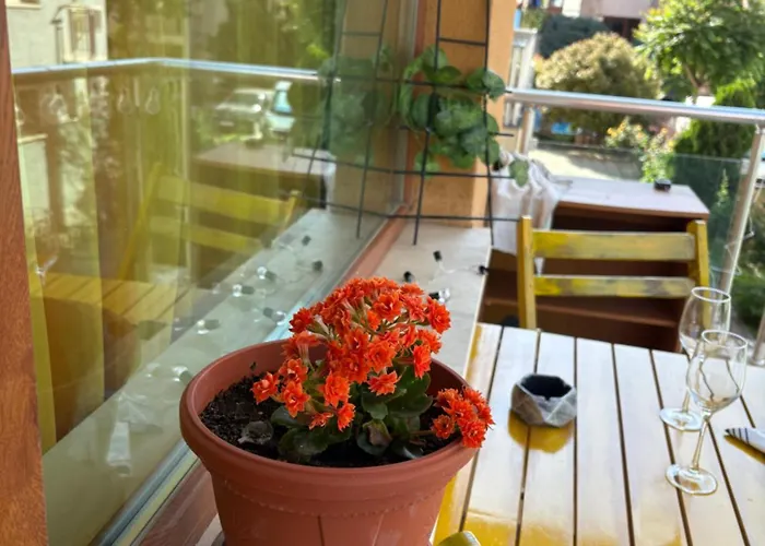 Cozy In Sunny Apartamento Sunny Beach