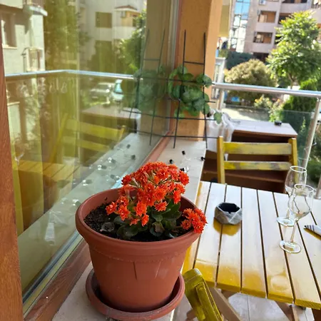 Cozy In Sunny Lägenhet Slăntjev Brjag